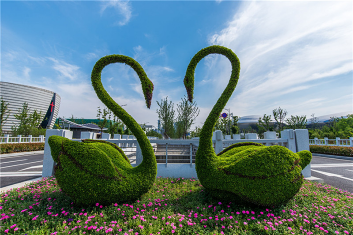 日喀则立体花坛：从设计到养护的的重点