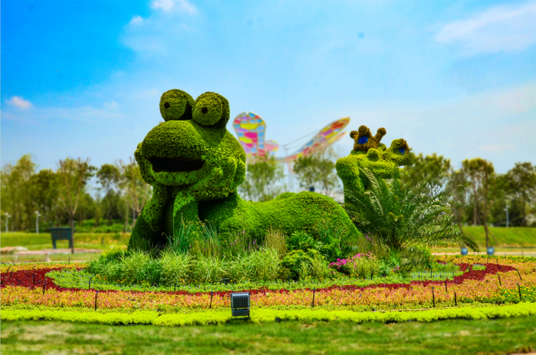 立体花坛,五色草造型,绿雕