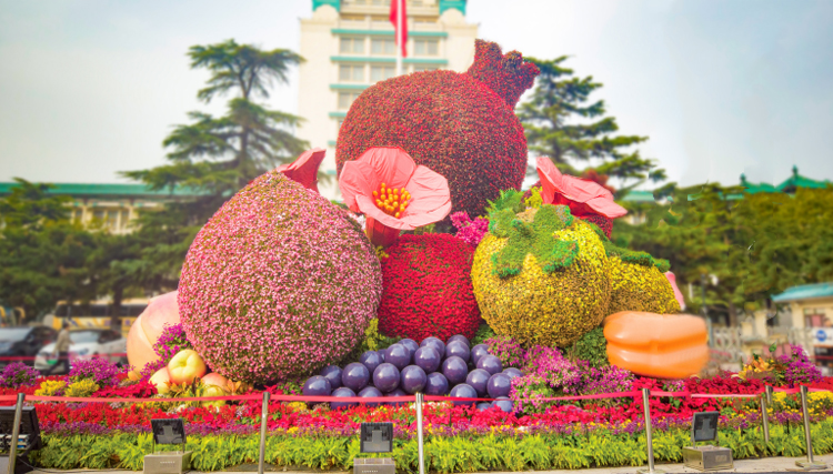 立体花坛,五色草造型,绿雕